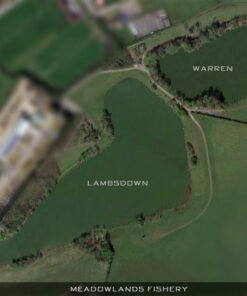 Golden Rod Feeder Meadowlands Saturday 1st November 2025