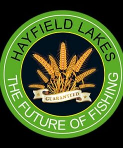 Golden Rod Feeder Hayfield Saturday 17th January 2026